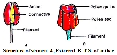 What is the Significance of Sexual Reproduction 2