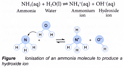 Whats an acid and a base