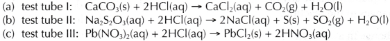 What is the rate of the reaction 7