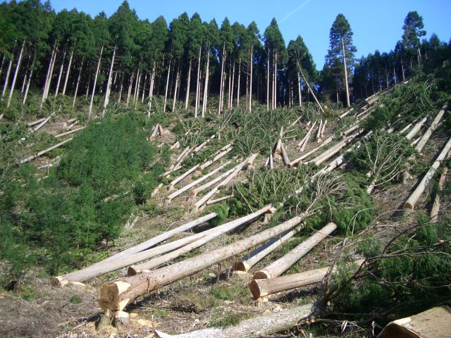 Why Soil Erosion is a Problem 1