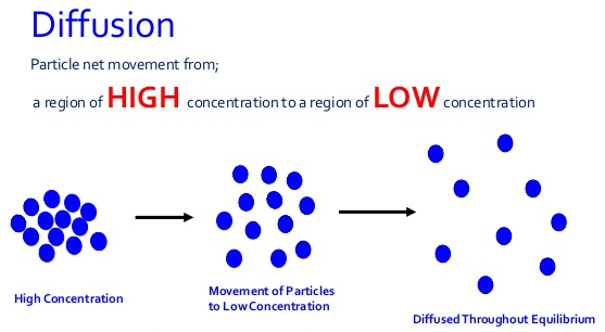 Why does Diffusion take place 1