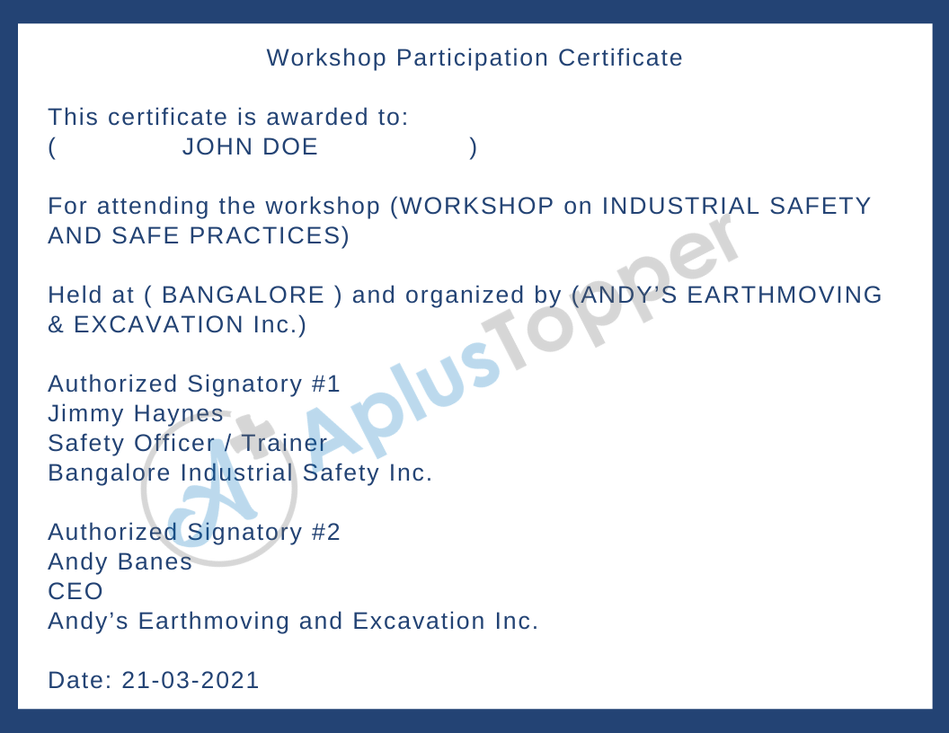 Workshop Participation Certificate