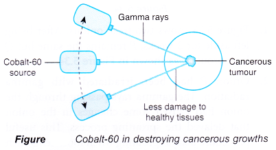 application of radioisotopes 2