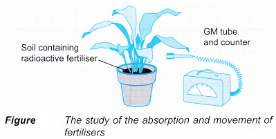 application of radioisotopes 3