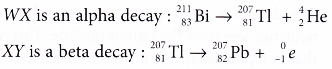 different types of radioactive decay 13