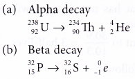 different types of radioactive decay 15