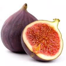 fig