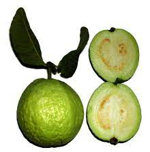 guava