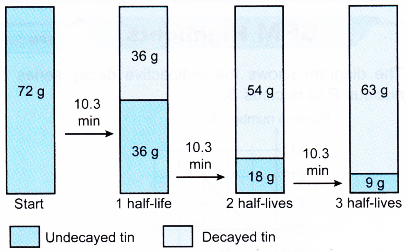 half life of a radioactive element 3