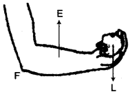 icse-previous-papers-with-solutions-for-class-10-physics-2008-2