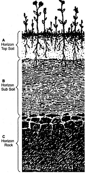 icse-solutions-class-10-geography-10