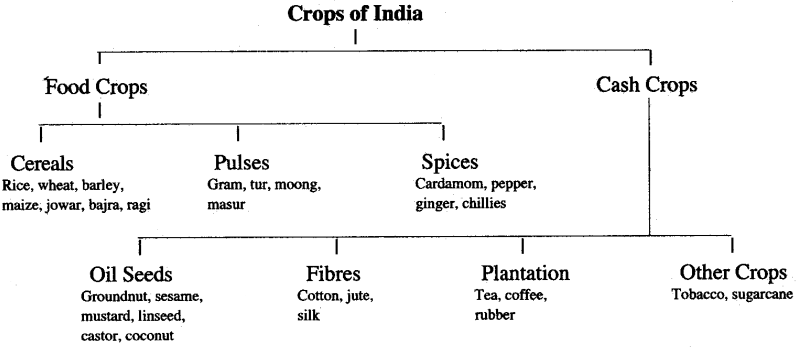 icse-solutions-class-10-geography-11