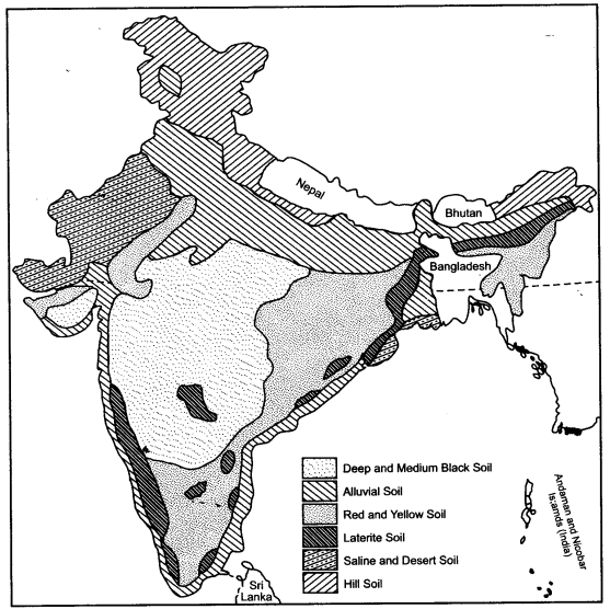 icse-solutions-class-10-geography-13