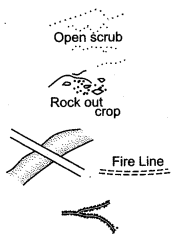 icse-solutions-class-10-geography-8-1