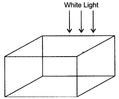 icse-solutions-class-10-physics-111