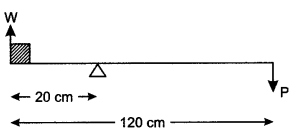 icse-solutions-class-10-physics-13