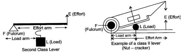 icse-solutions-class-10-physics-17