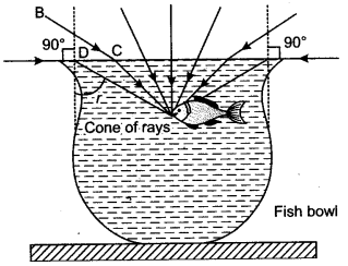 icse-solutions-class-10-physics-59