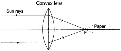 icse-solutions-class-10-physics-88