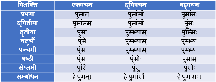 Pumas/Pums Shabd Roop In Sanskrit