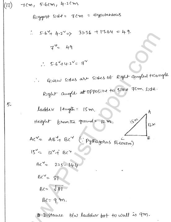 ml-aggarwal-icse-solutions-for-class-7-maths-chapter-11-triangles-and-its-properties-28