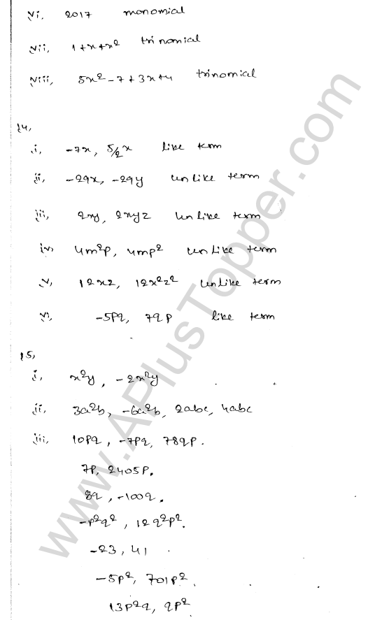 ml-aggarwal-icse-solutions-for-class-7-maths-chapter-8-algebraic-expressions-6