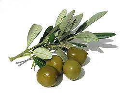 olives