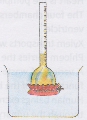 process-excretion-human-body-2