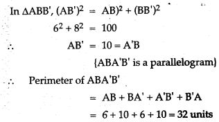 reflection-icse-solutions-class-10-mathematics-9