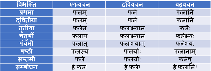 Sangya Shabd Roop In Sanskrit