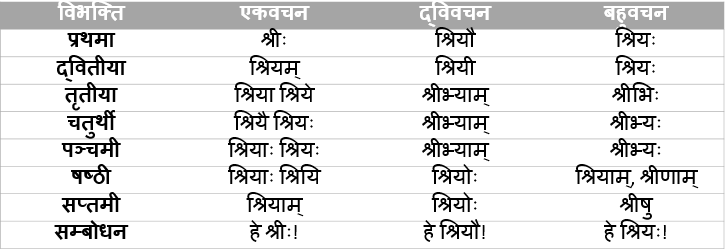 Shree Shabd Roop In Sanskrit 