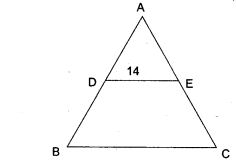 similarity-icse-solutions-class-10-mathematics-19