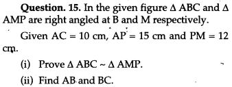 similarity-icse-solutions-class-10-mathematics-27