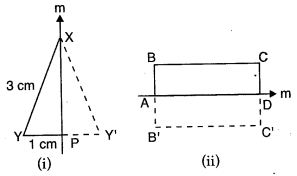 symmetry-icse-solutions-class-10-mathematics-15