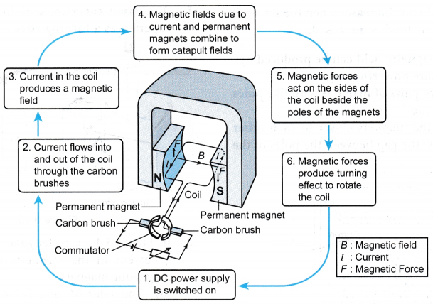 turning effect on a current carrying coil in a magnetic field 3