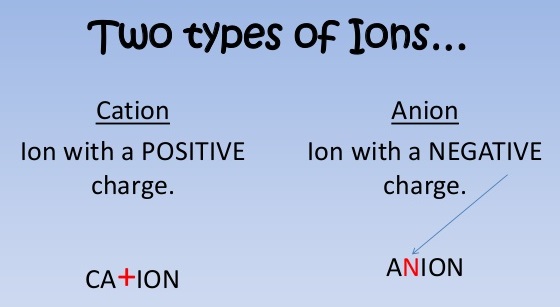 What are the two types of ions called 