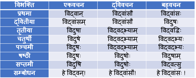 Vidvas/Vidwan Shabd Roop In Sanskrit