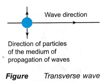 wave 2