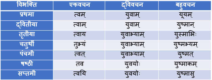 Yushmad Ke Shabd Roop In Sanskrit