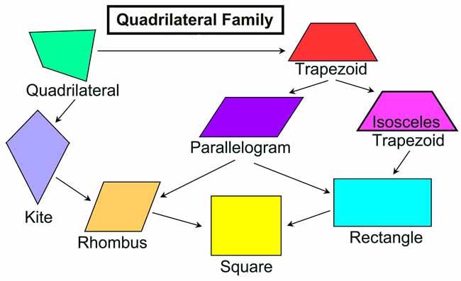 quadrilateral shapes names