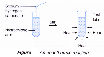 exothermic reaction in a test tube