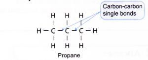 What are carbon compounds? - A Plus Topper