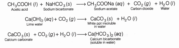 Реакция уксусной кислоты с карбонатами. Уксусная кислота и карбонат натрия. Уксусная кислота и карбонат кальция. Карбонат кальция и муравьиная кислота. Карбонат кальция уравнение реакции.