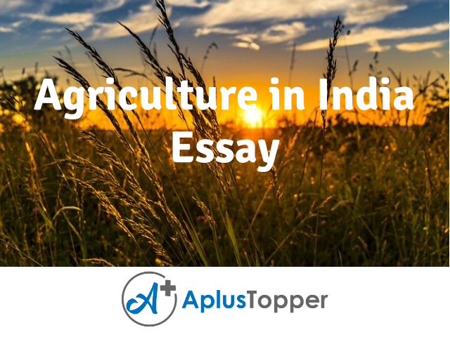 essay agriculture backbone of india