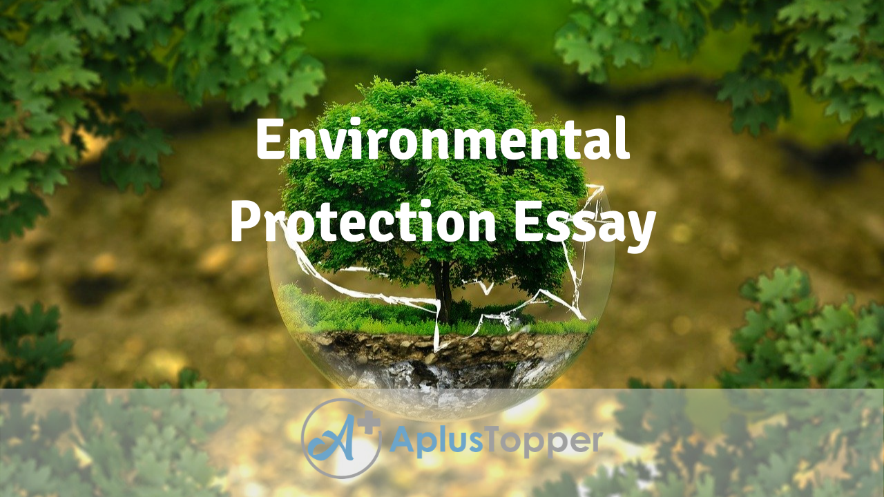 essay on children's role in protecting the environment