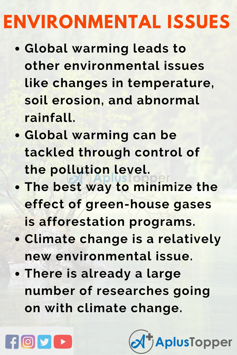 essay for environmental issues