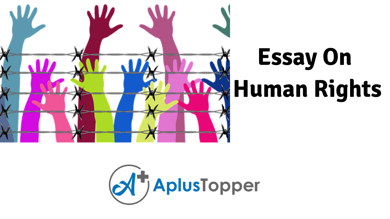 free essay on human rights