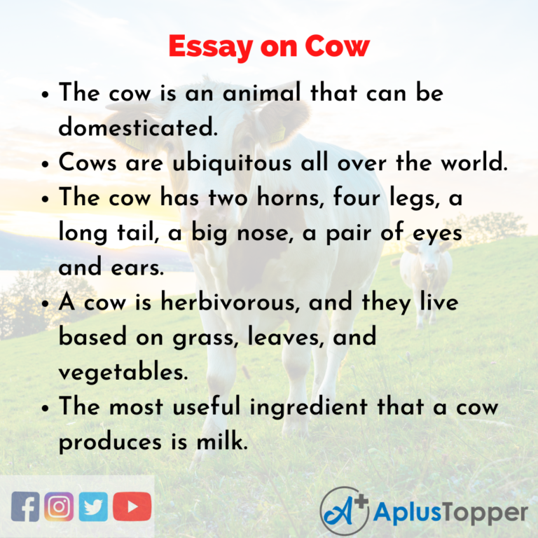 cow essay for 5th class