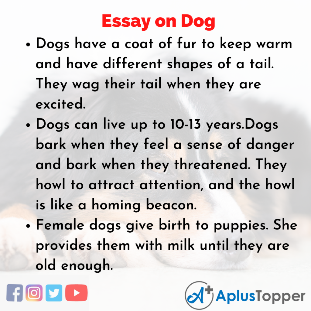 essay on dog in 50 words