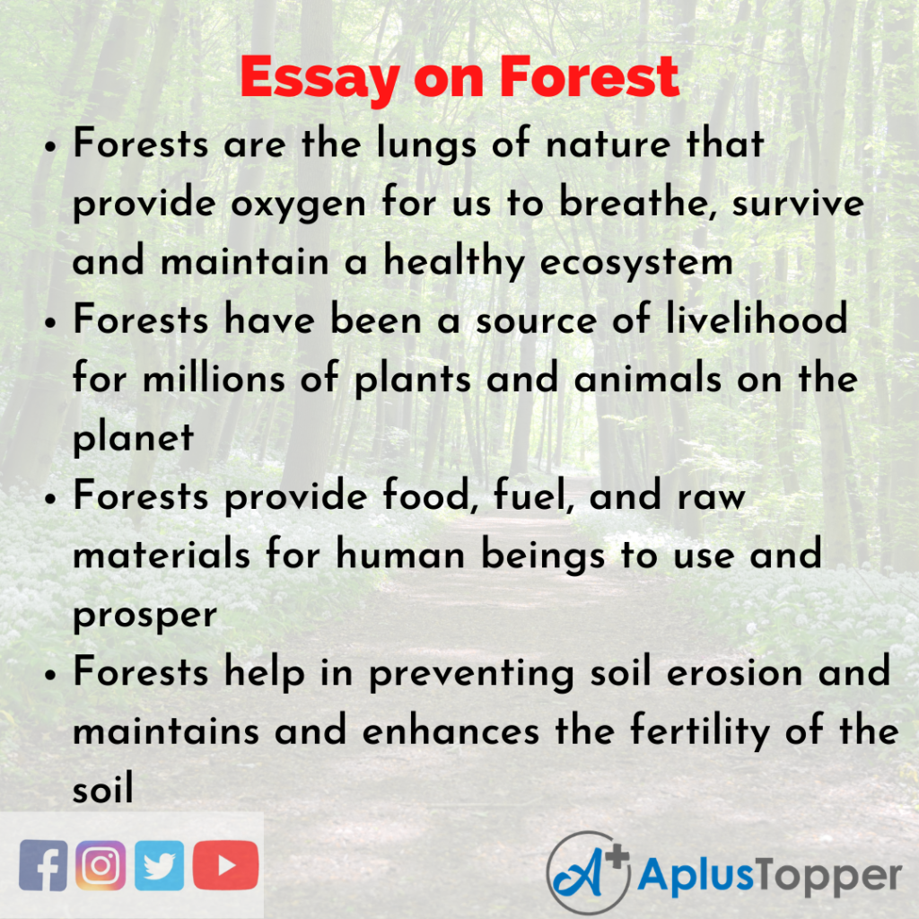 essay on forest class 8